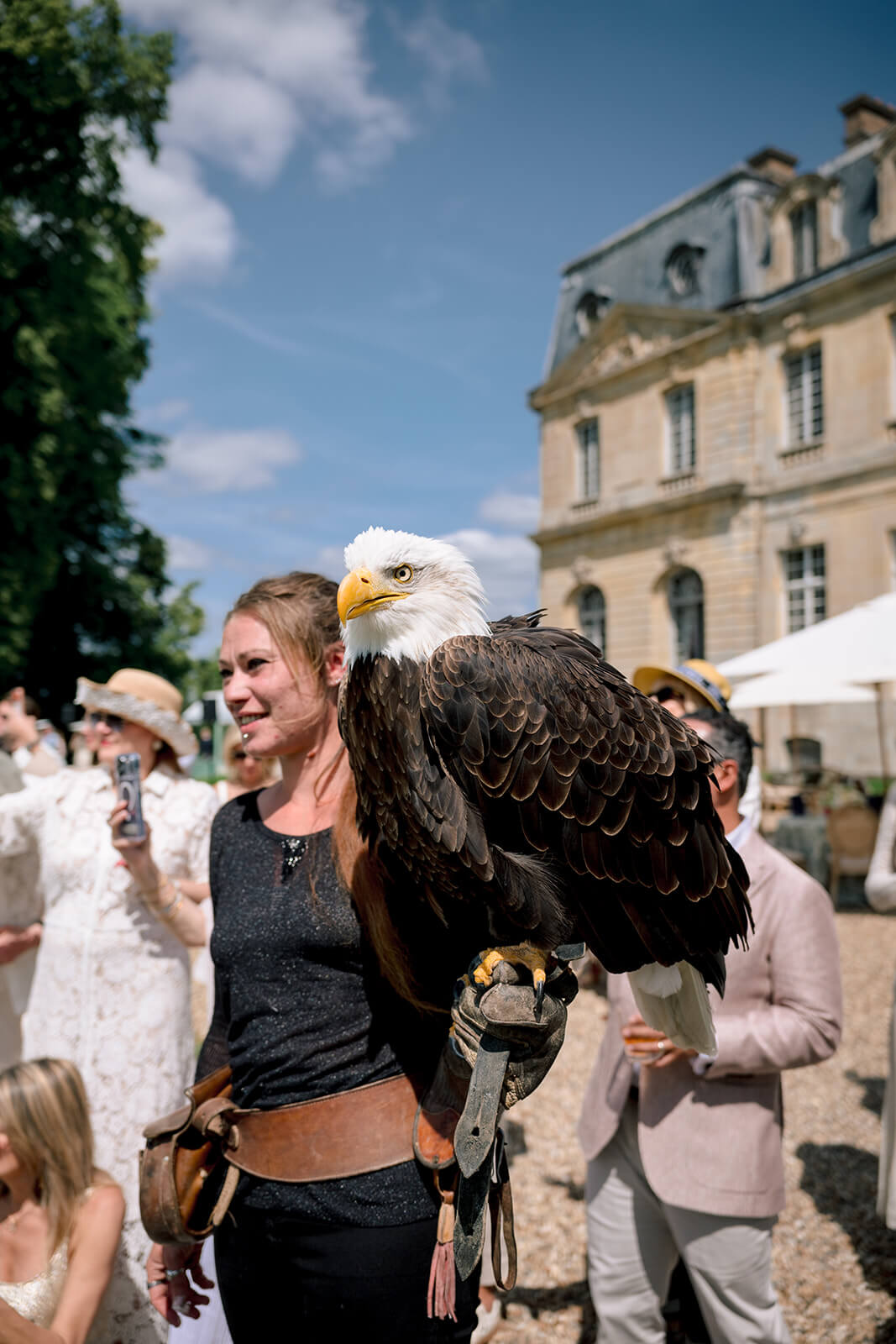 Eagle at Chateau de Champlatreux